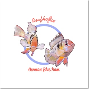 German Blue Ram 2 Posters and Art